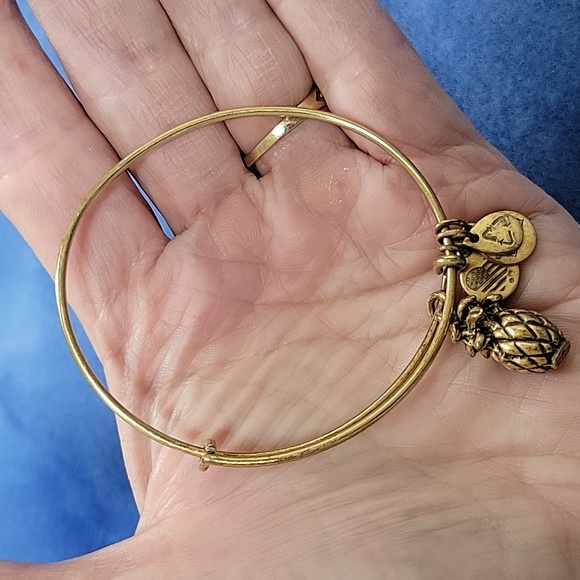 Alex and Ani - Pineapple Lovers Bracelets Lot of 2 - Picture 4 of 7